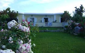 Zante Summer Retreats - Marietta's Studios Drosia